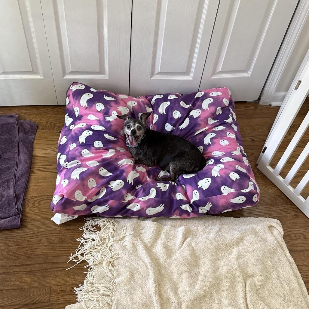 Remi Emmie Lou — thumbnail 2