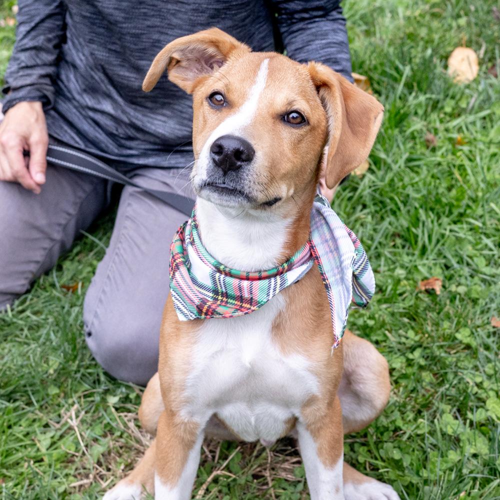 Tuckavail thumbnail 3