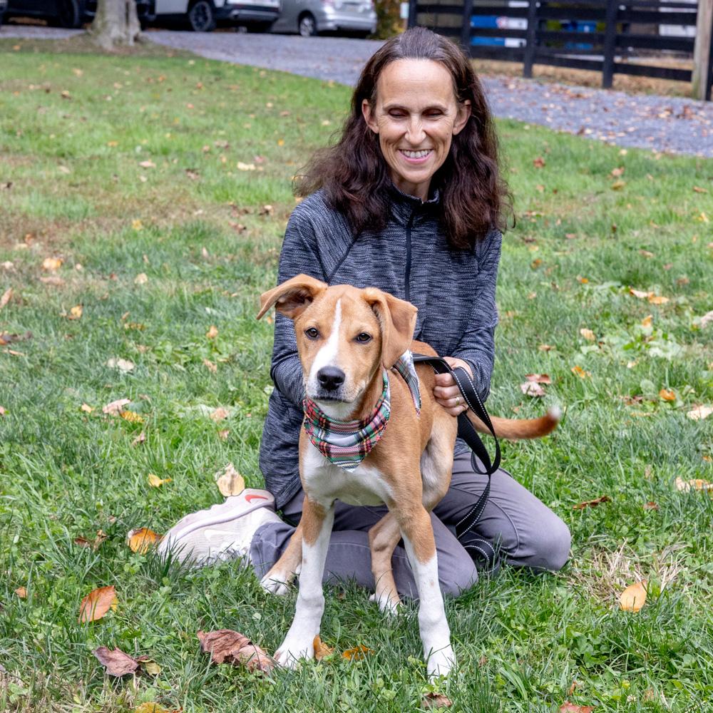 Tuckavail thumbnail 6