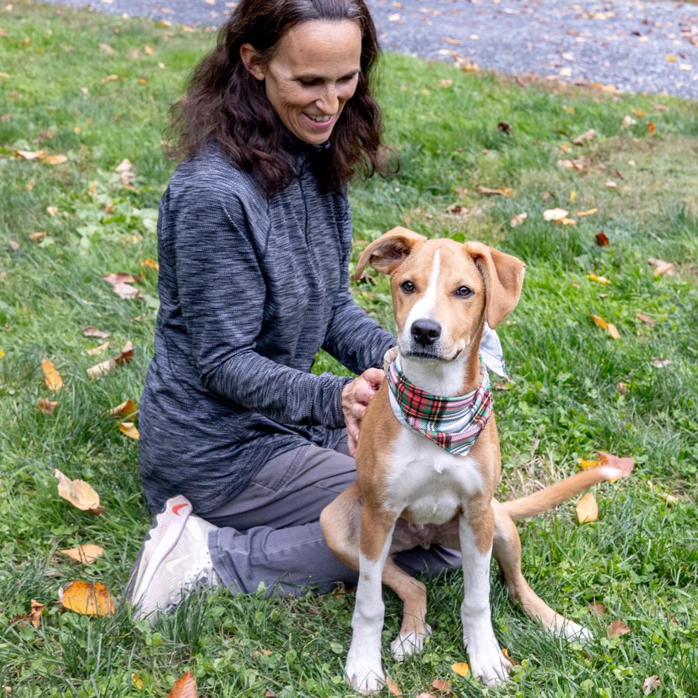 Tuckavail thumbnail 2