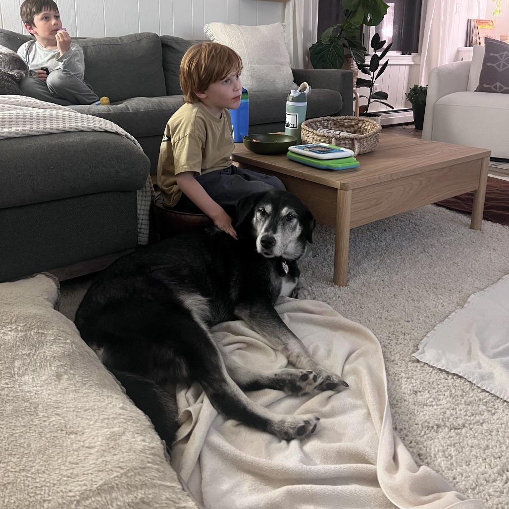 Dakota-in foster-50% off- In Foster-See my Video!