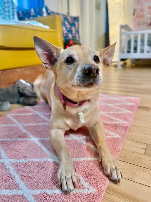 Buddy Reid — thumbnail 2