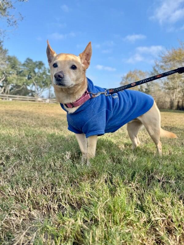 Buddy Reid — thumbnail 3