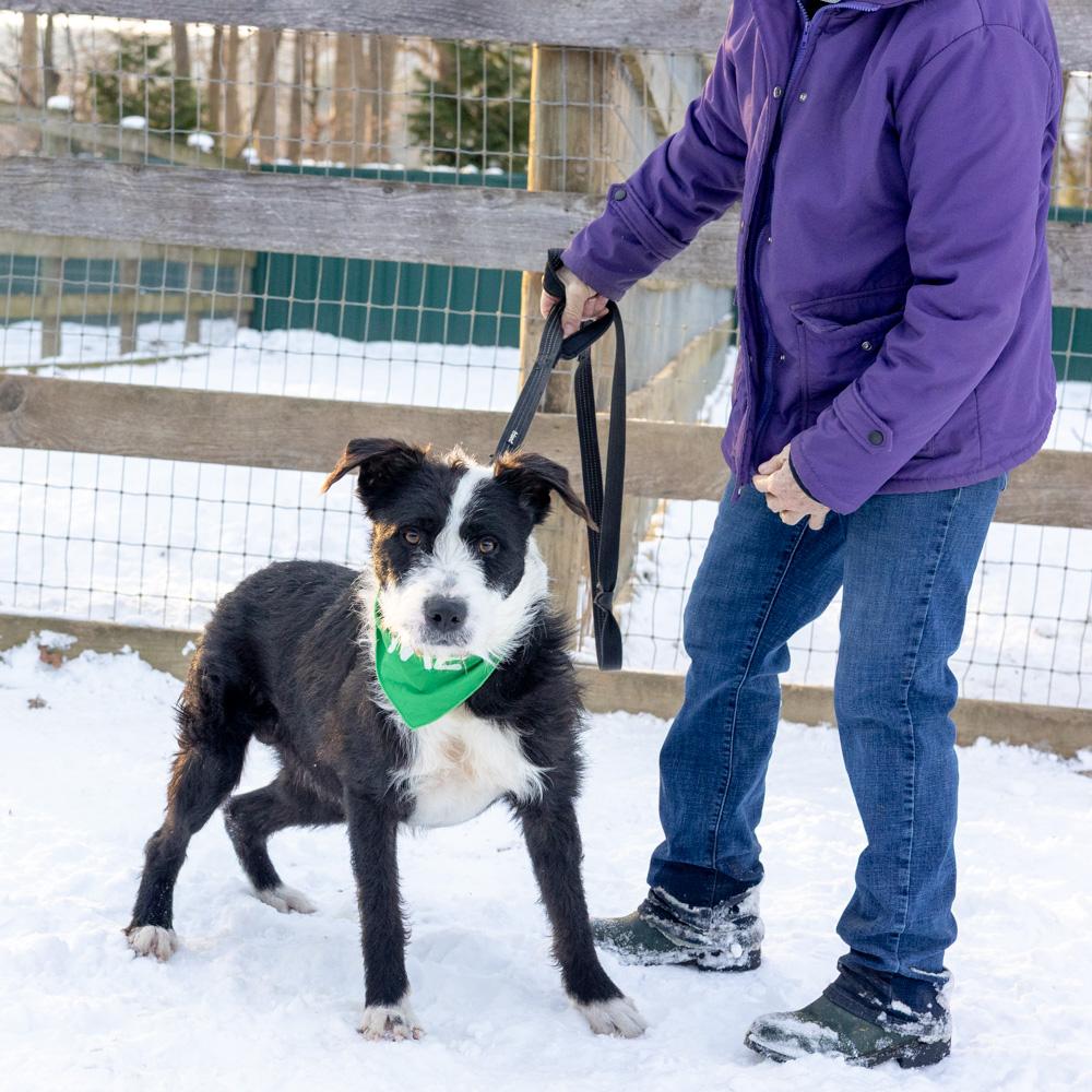 Gusavail thumbnail 2