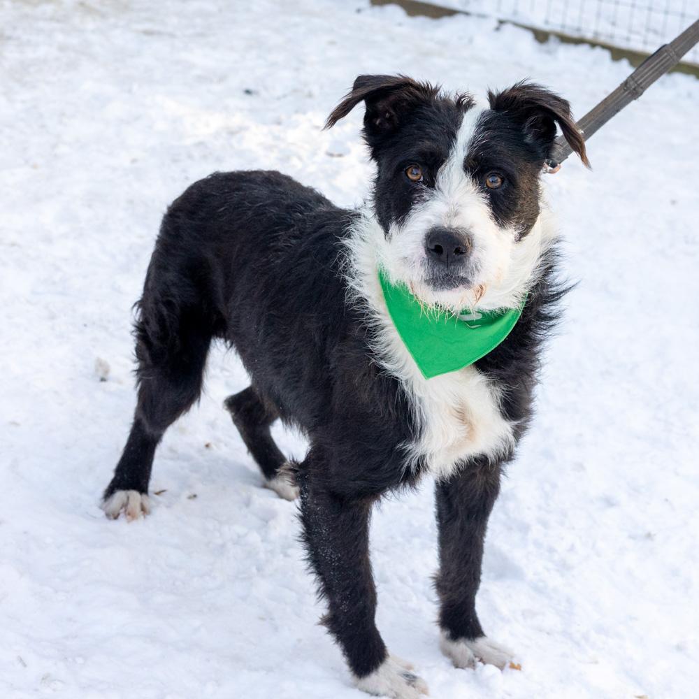 Gusavail thumbnail 4