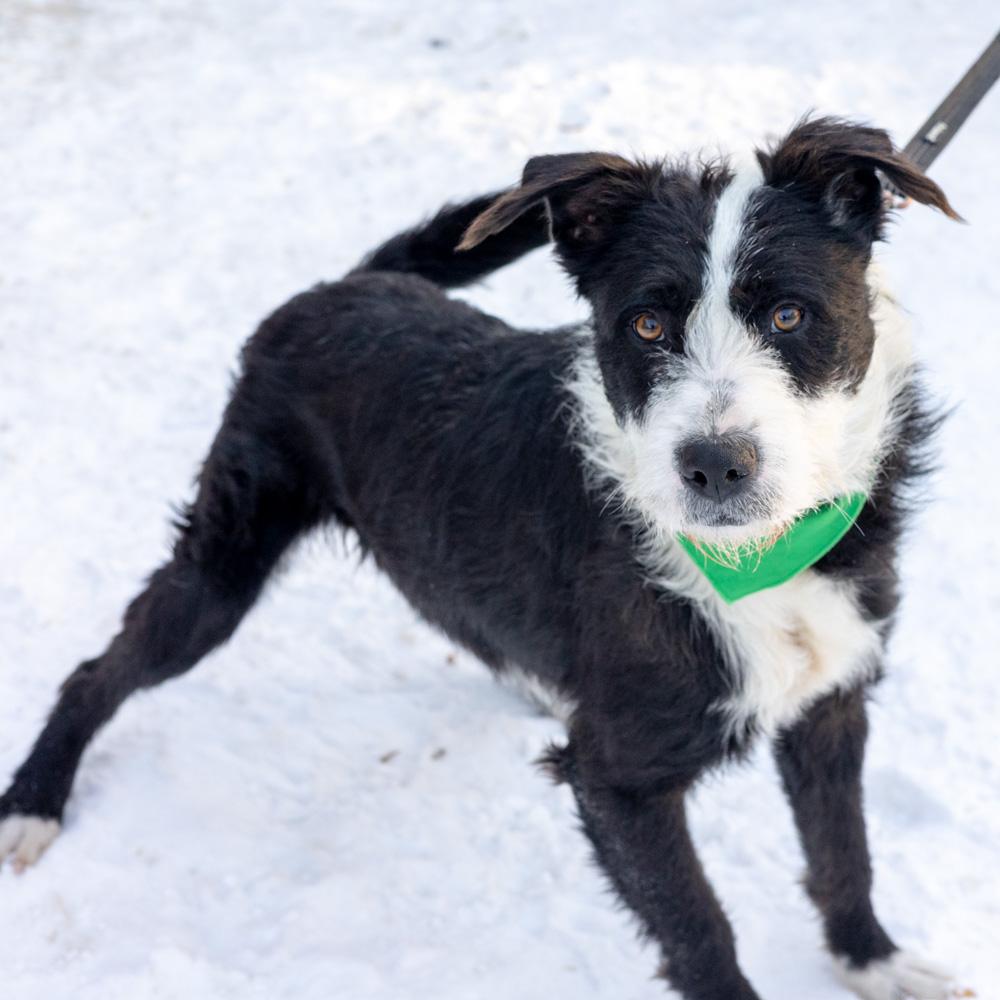 Gusavail thumbnail 5