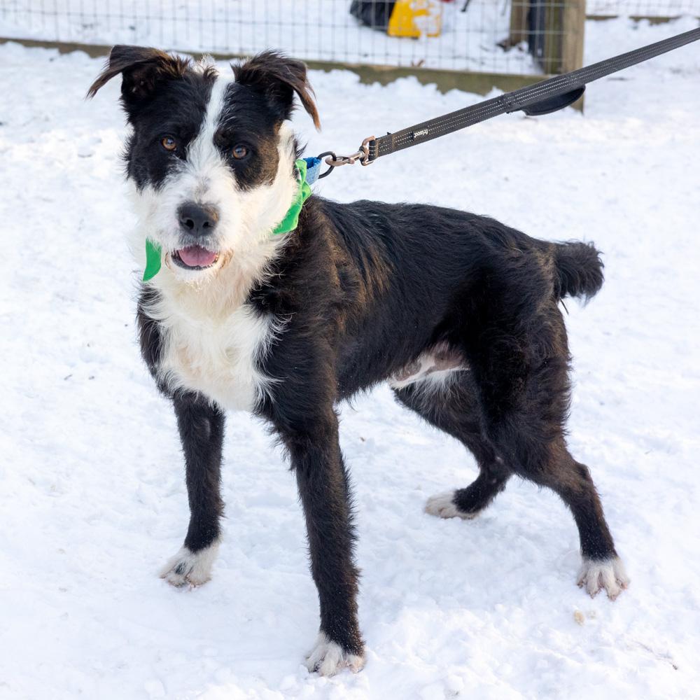 Gusavail thumbnail 6