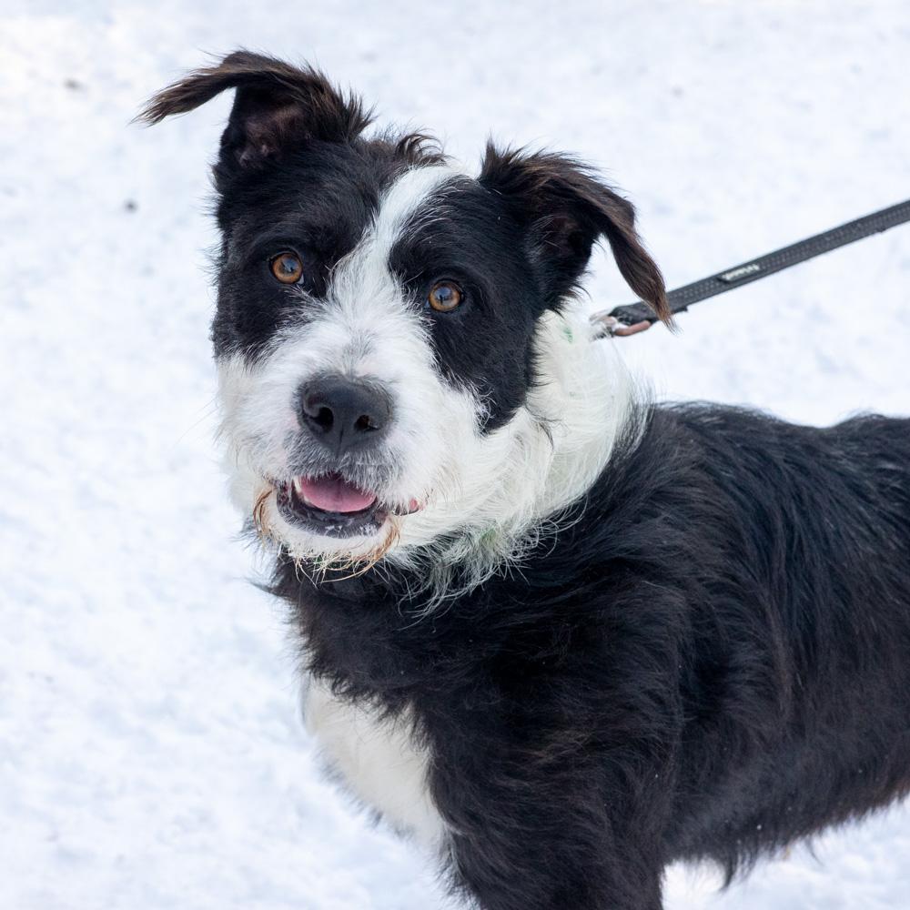 Gusavail thumbnail 7