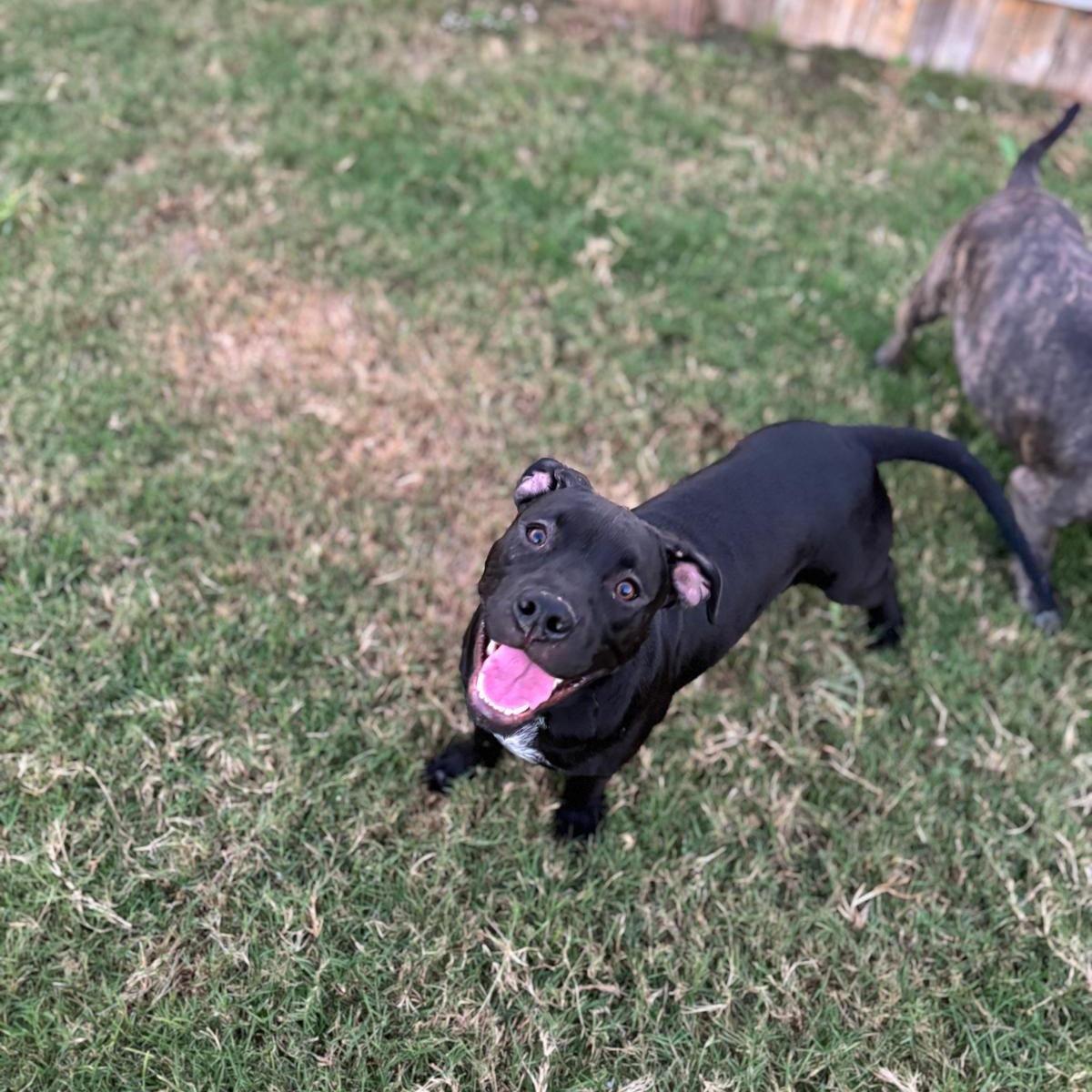 Morgan Freeman — thumbnail 2