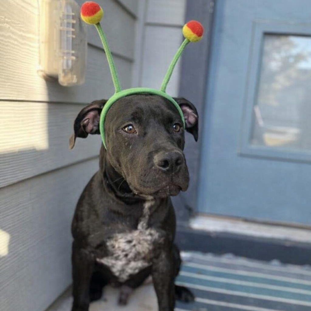 Morgan Freeman — thumbnail 3