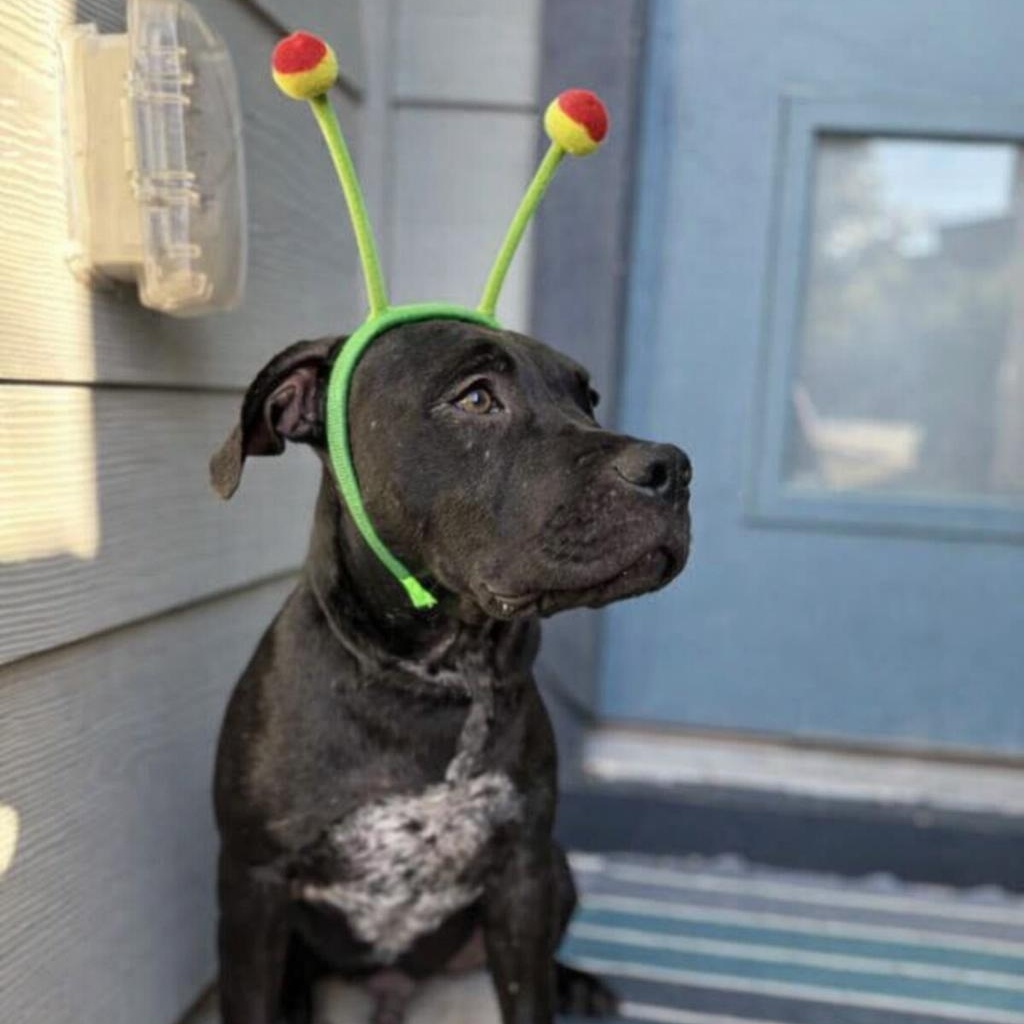 Morgan Freeman — thumbnail 4