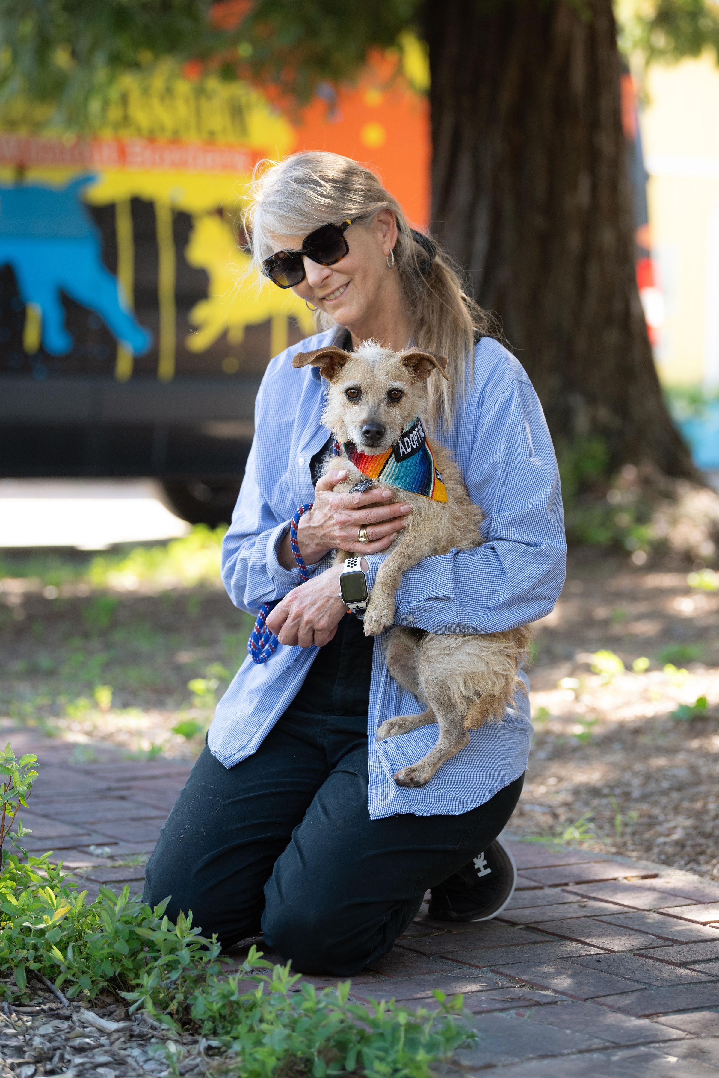 Pulguita, an adopted mixed breed in Santa Rosa, CA image 3/4