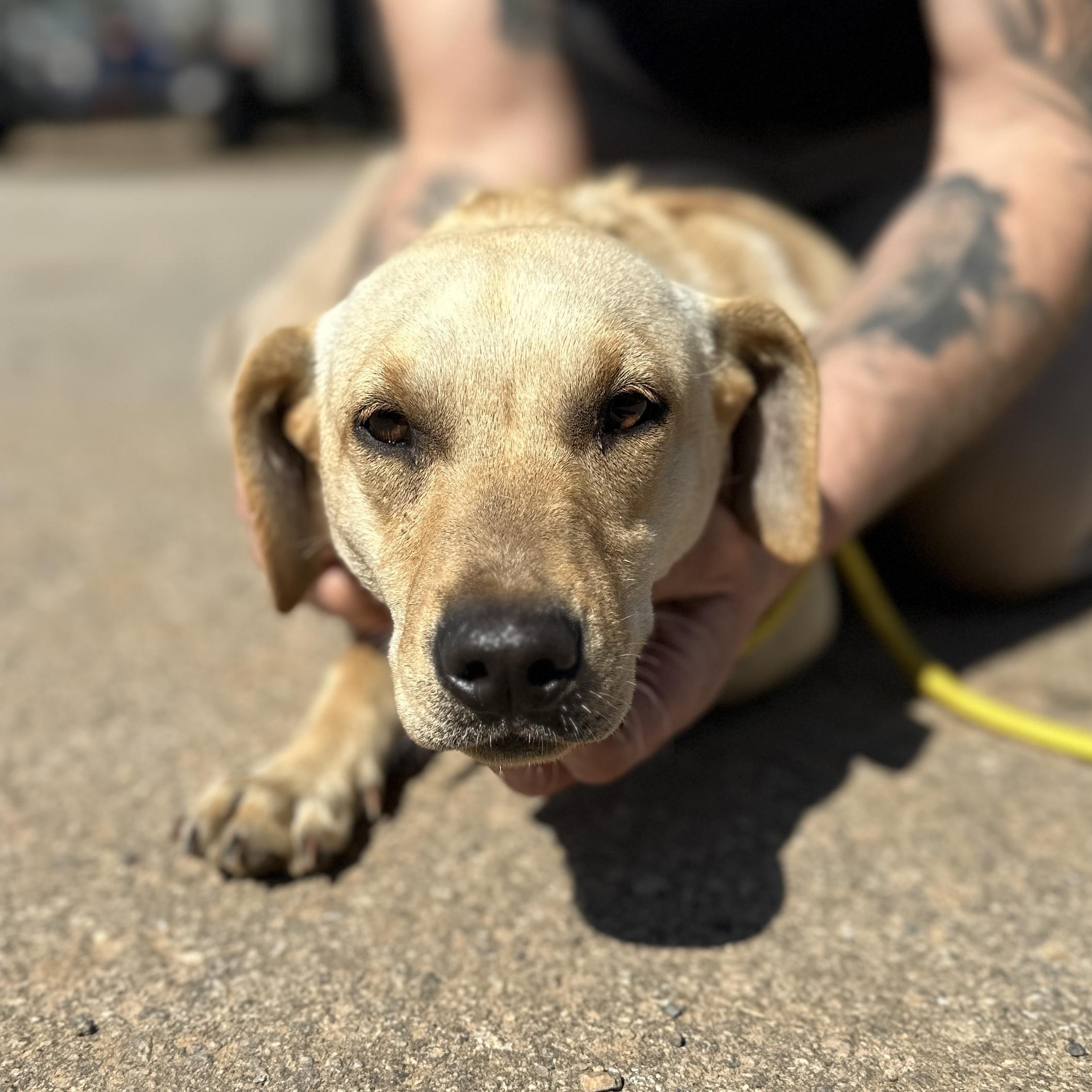 Hadley — thumbnail 5