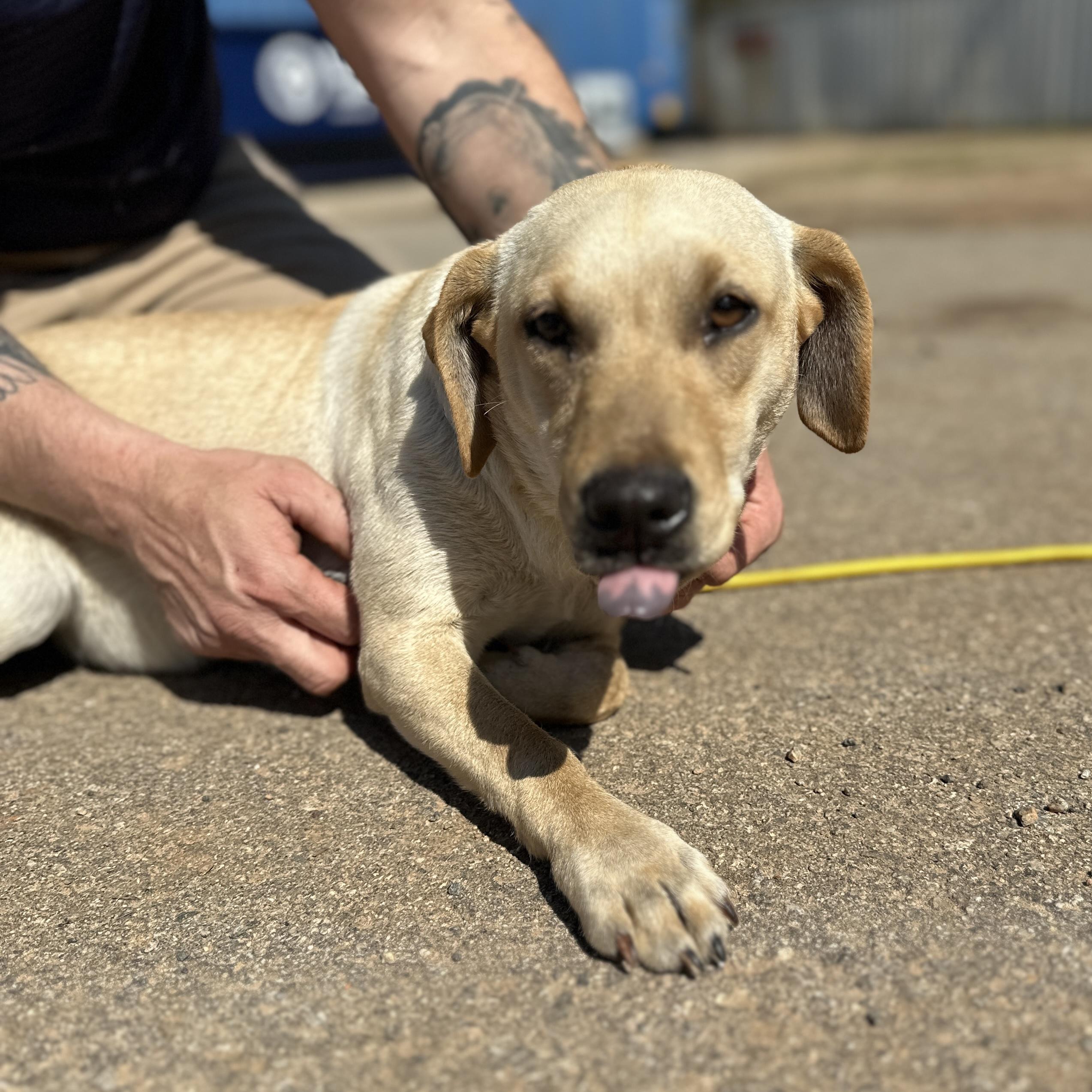 Hadley — thumbnail 6