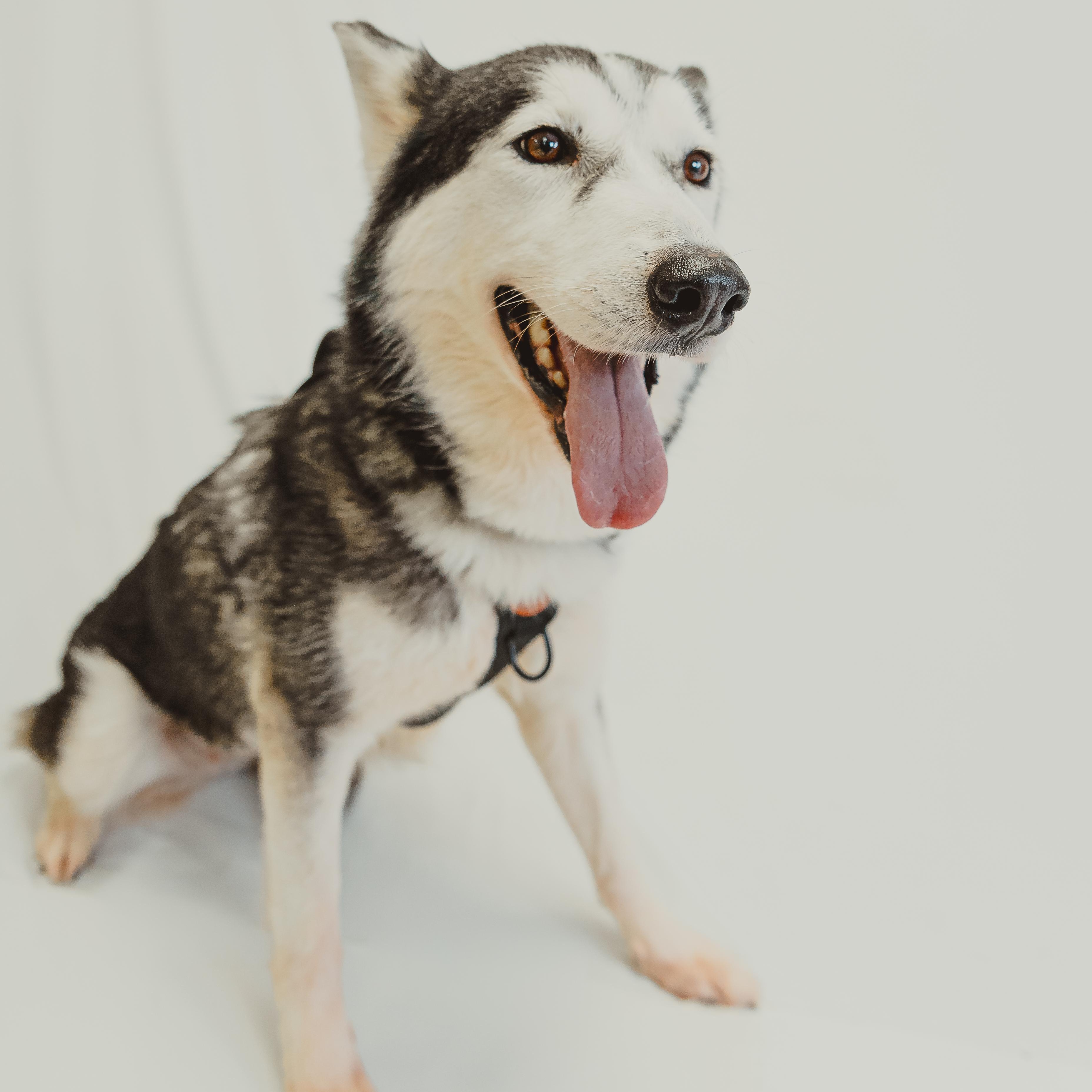 Colleen — thumbnail 2