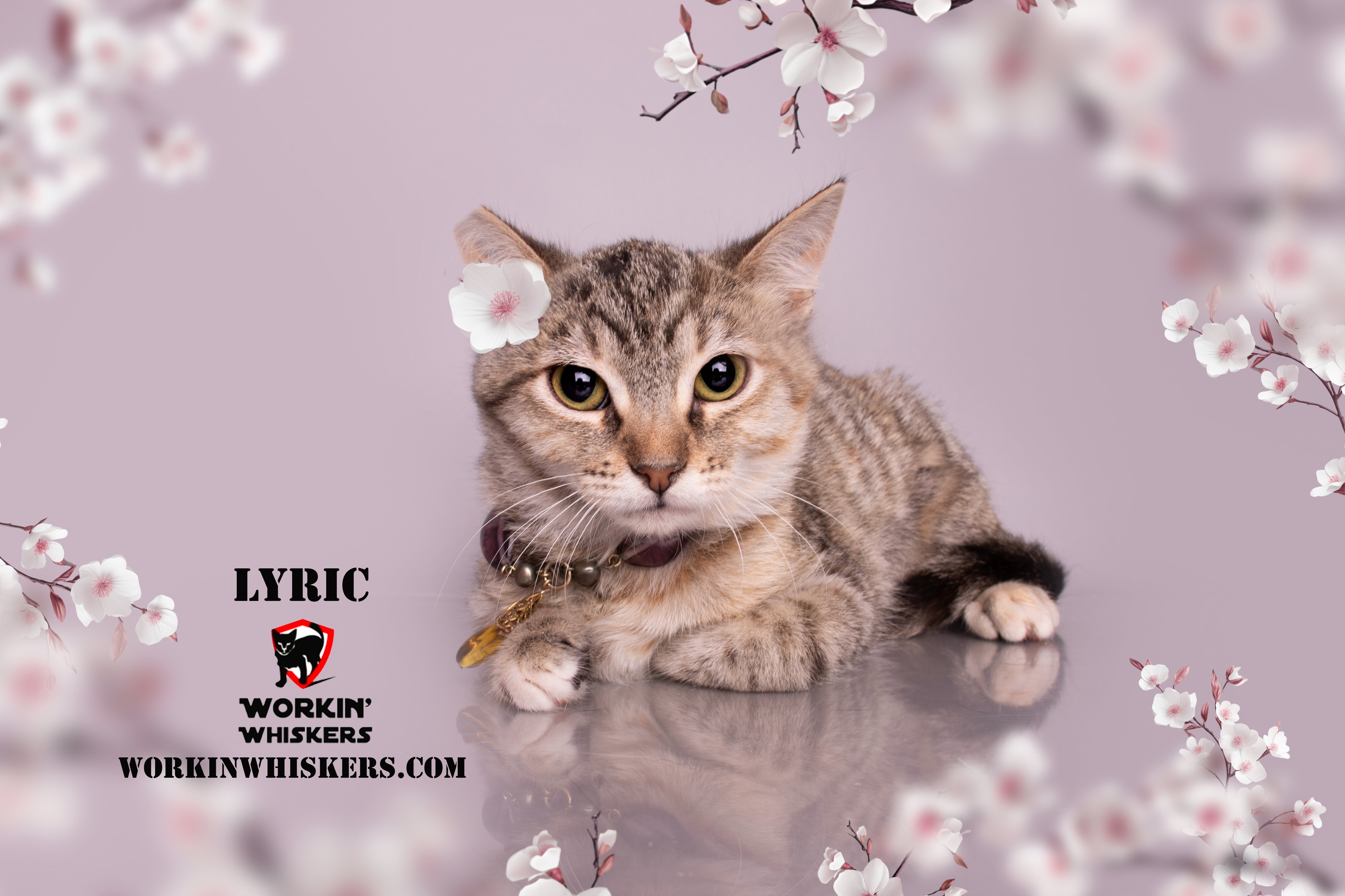LYRIC