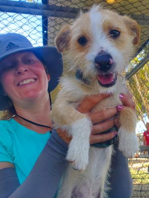 Enlarge Kiwi, an adopted mixed breed in Santa Paula, CA image 2/5