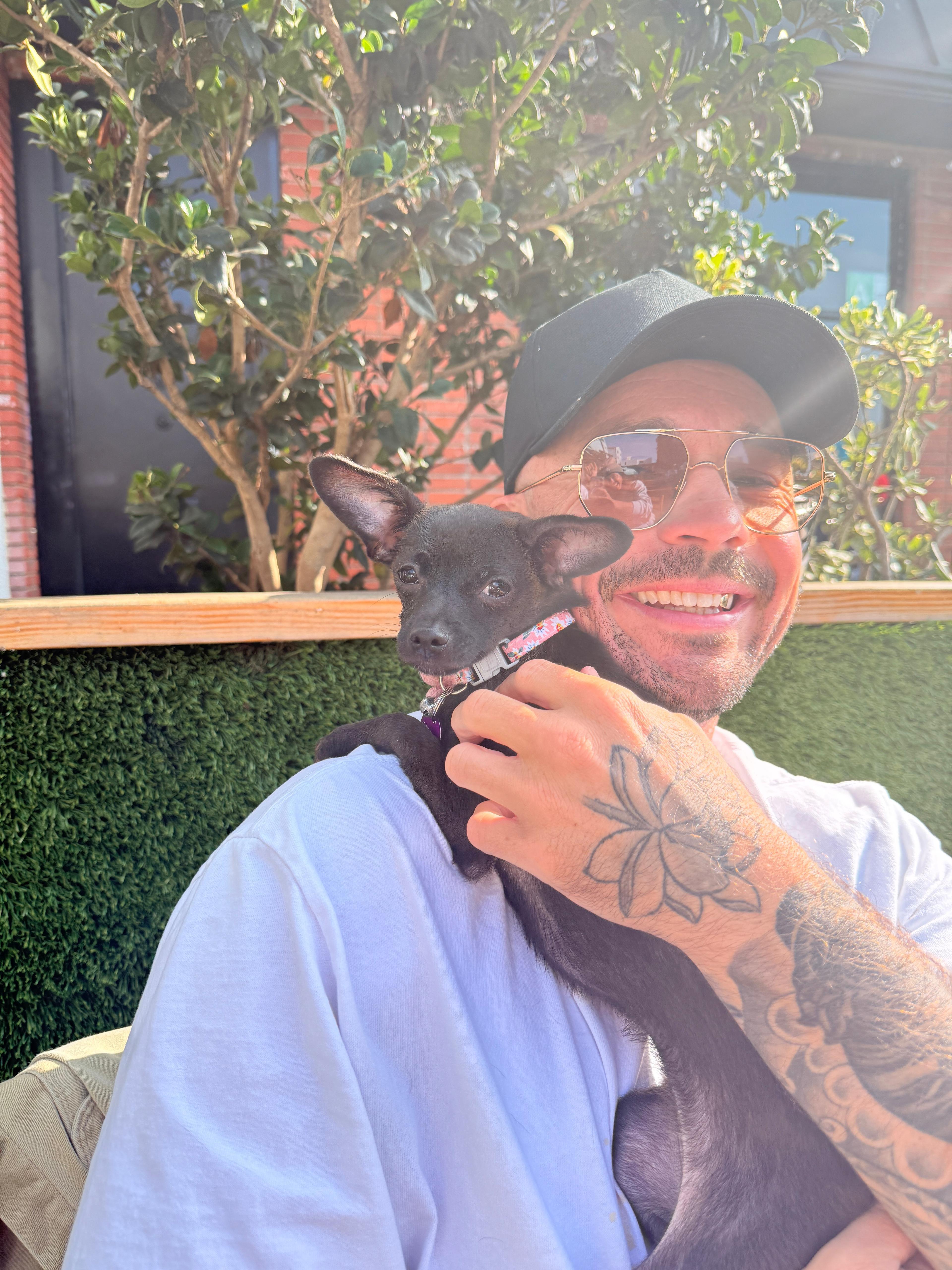 Ashley, a Adoptable mixed breed in West Hollywood, CA image 2/6