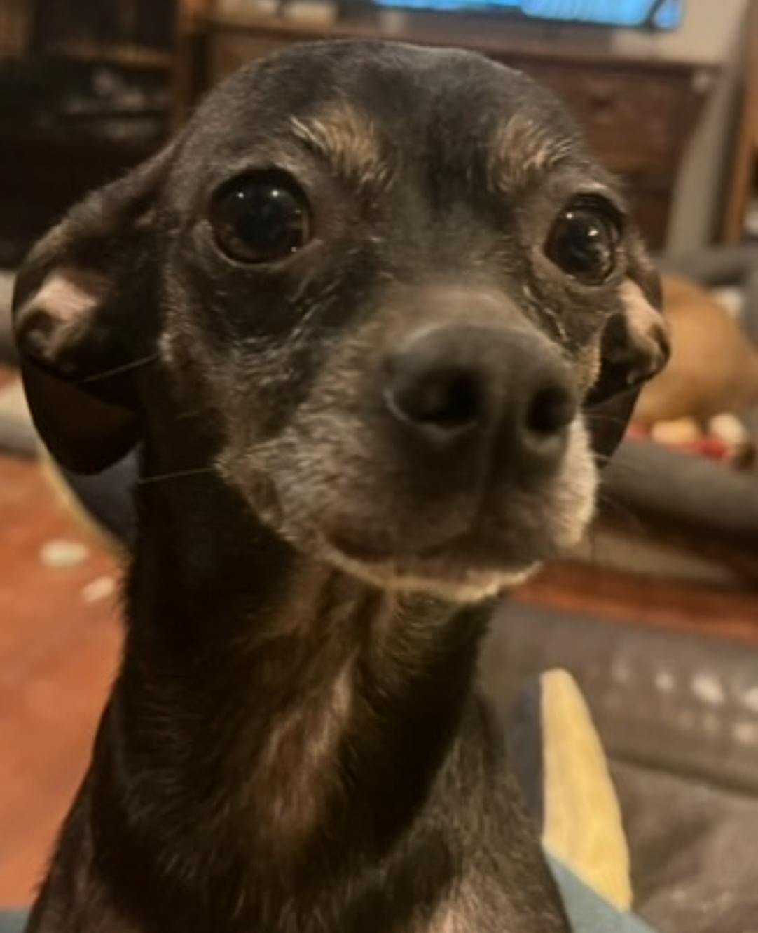 Juju