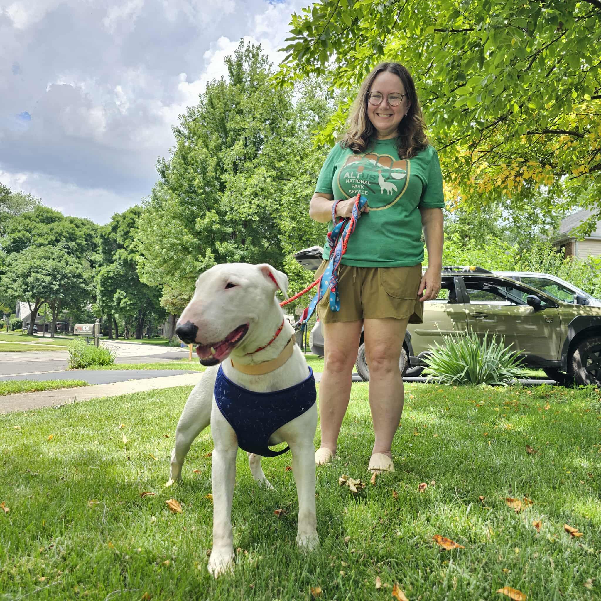 Enlarge 25-054 Benjamin, a Adoptable Bull Terrier in Cookeville, TN image 5/6