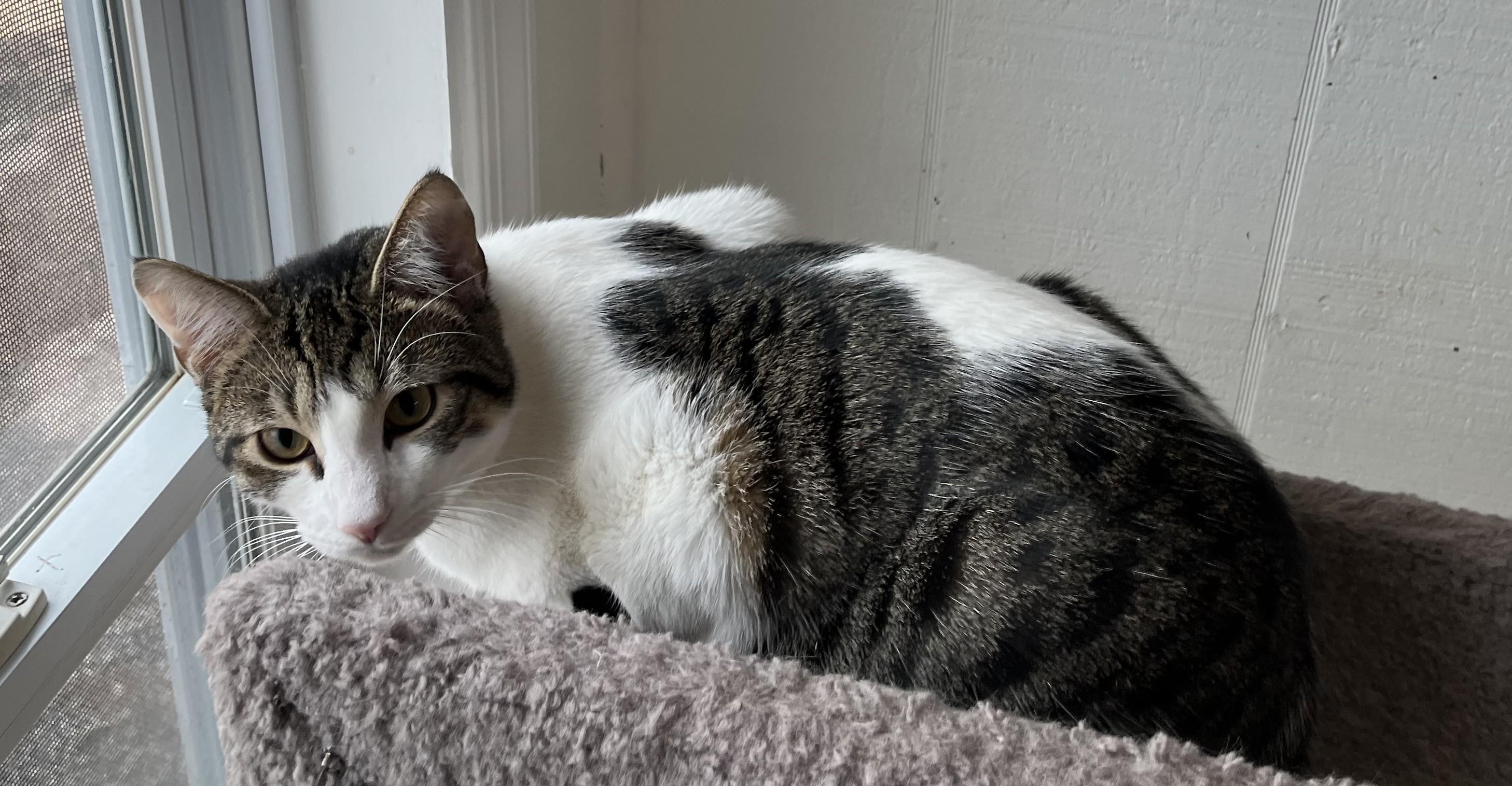 Tucker Shewman (handsome brother of Sawyer)