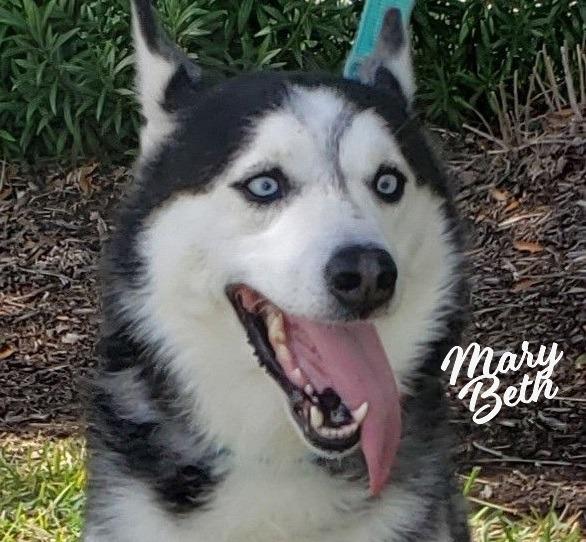 Mary Beth #sister-of-Charles