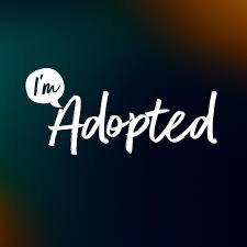 Enlarge Pimento, a Adoptable Domestic Short Hair in Tuscaloosa, AL image 1/1