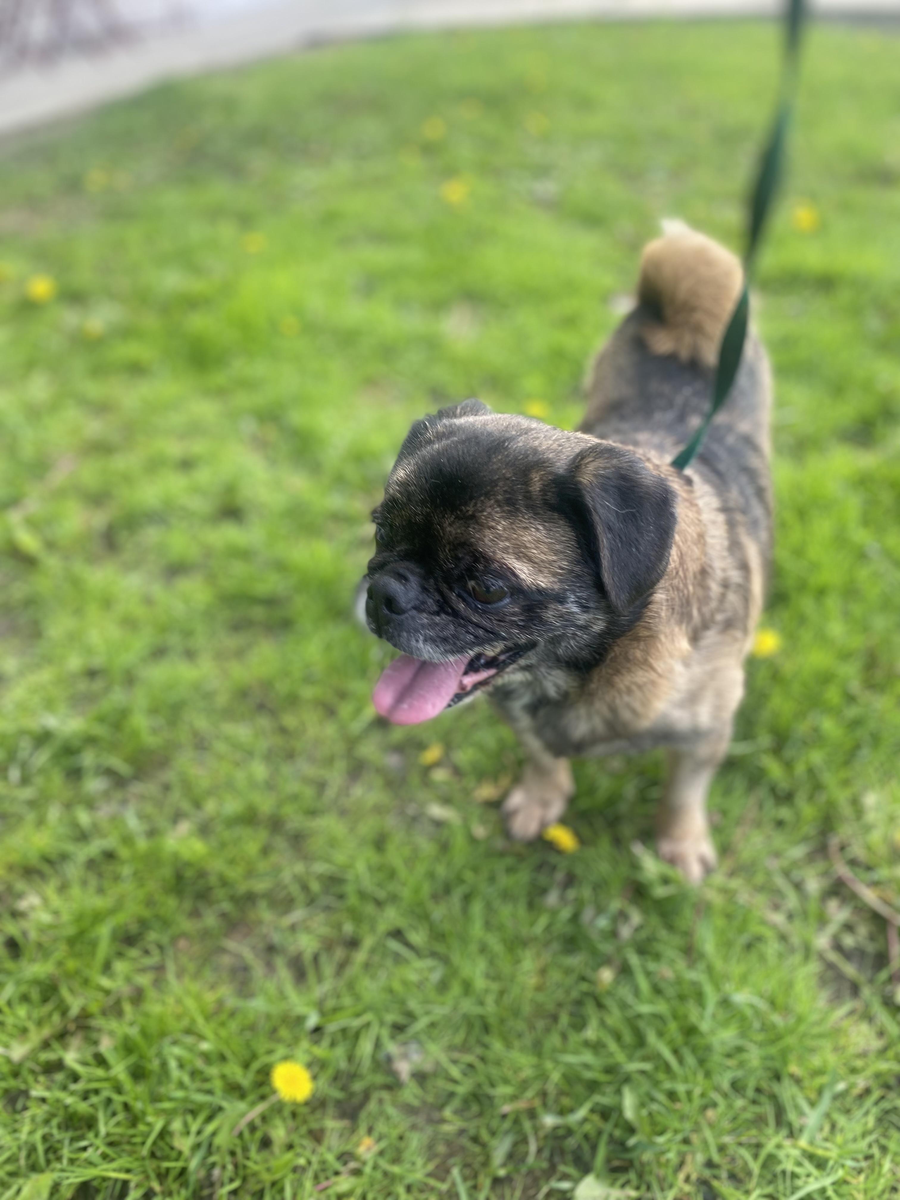 Max