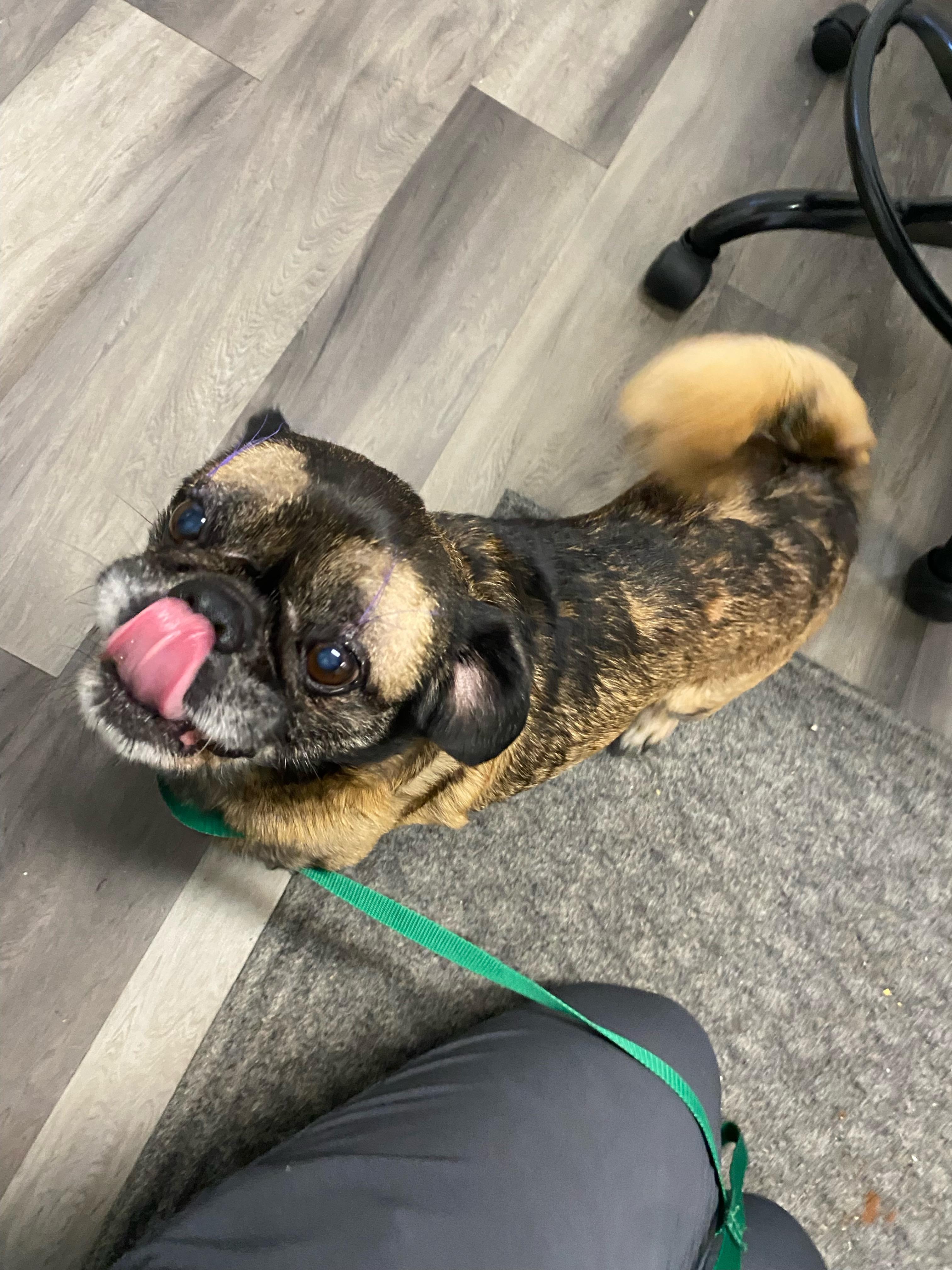 Max