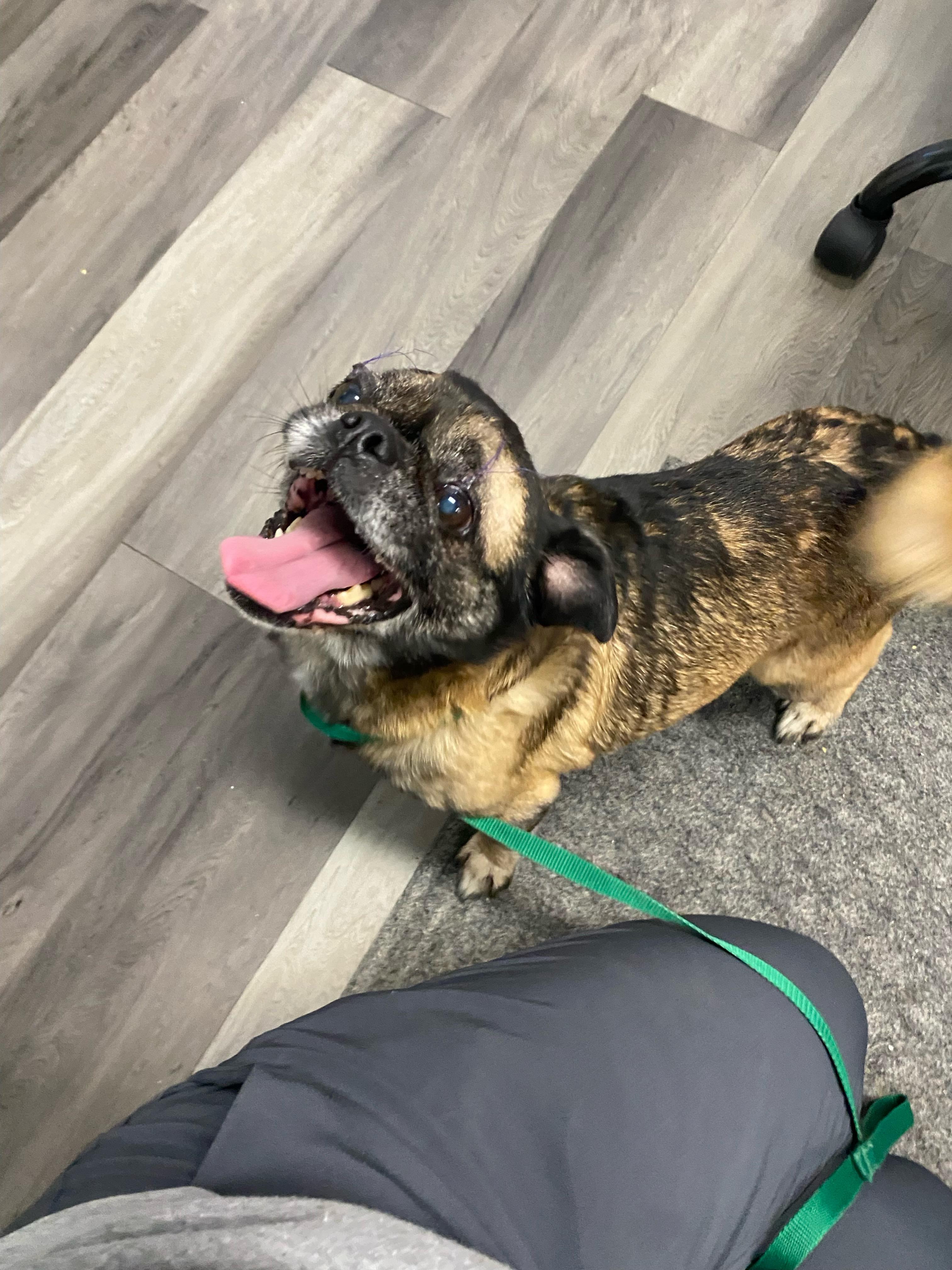Max