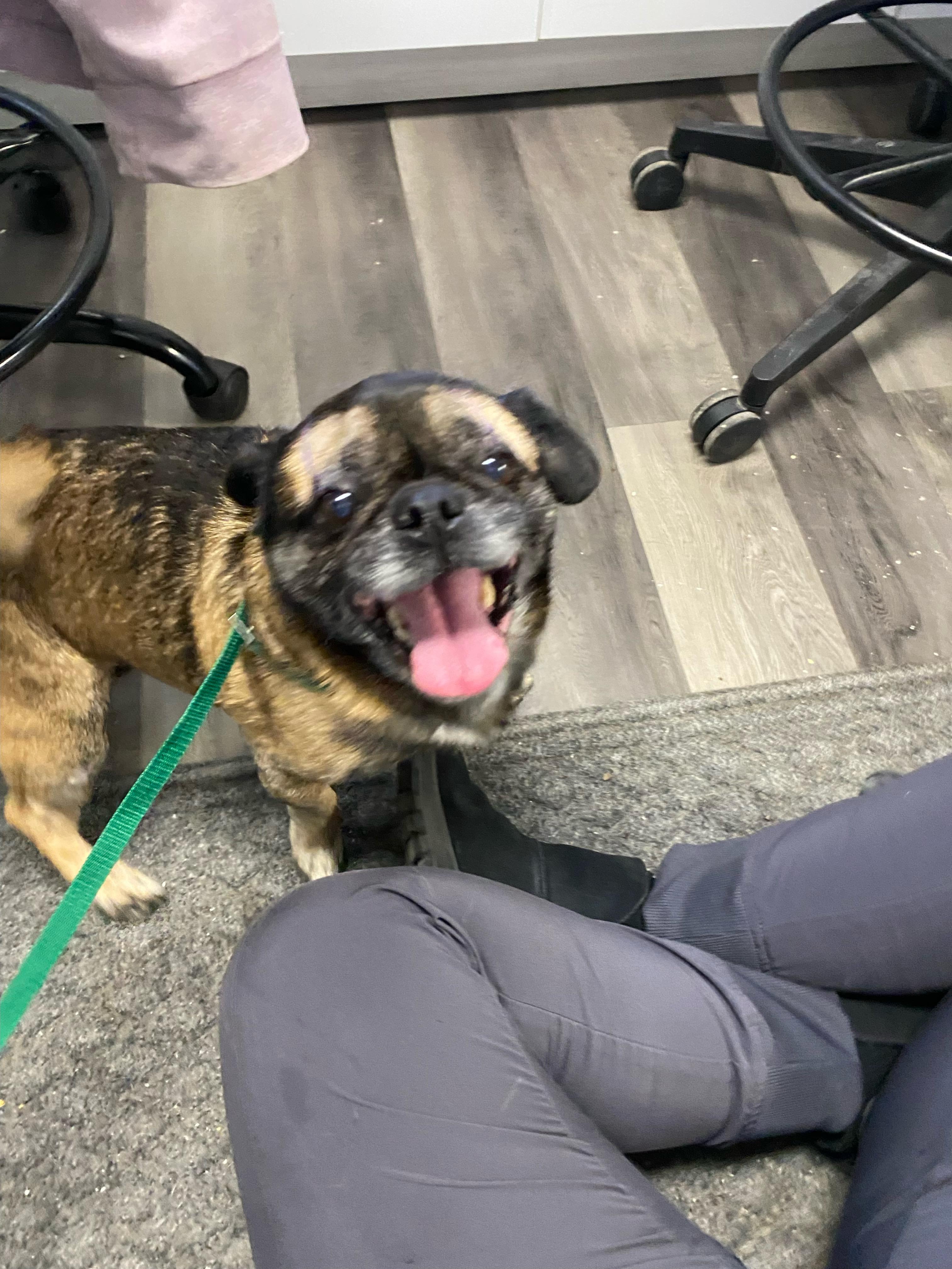 Max