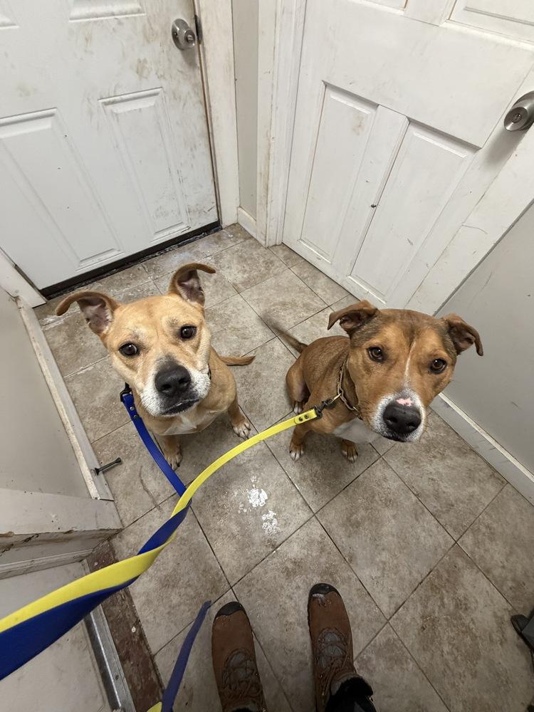 AC - Sadie — thumbnail 2