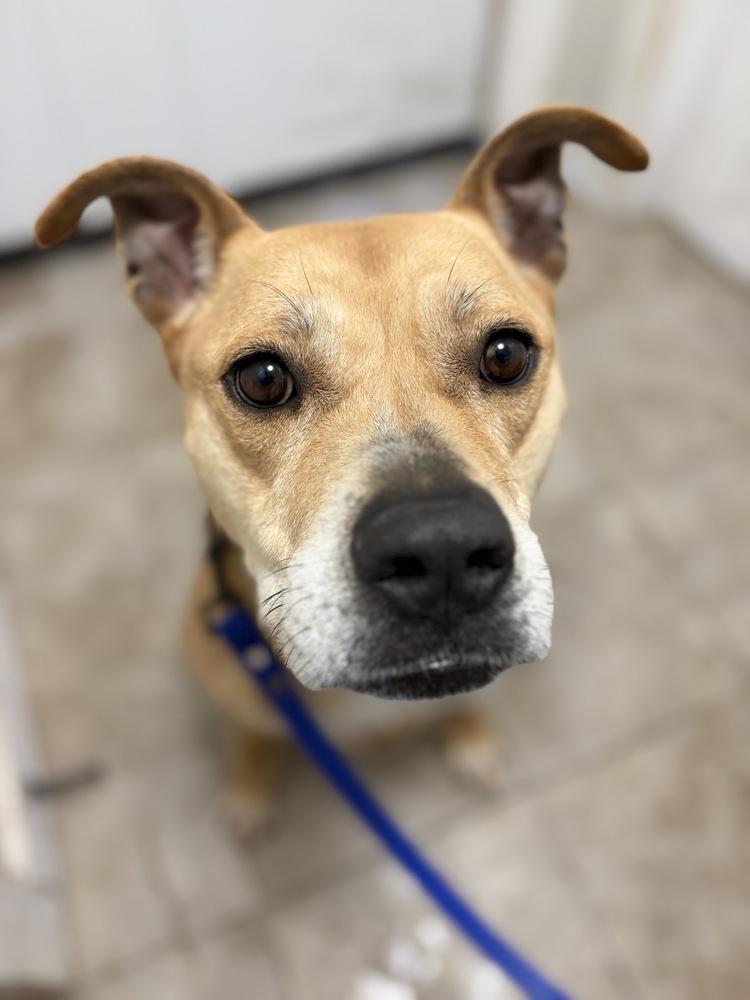 AC - Sadie — thumbnail 3