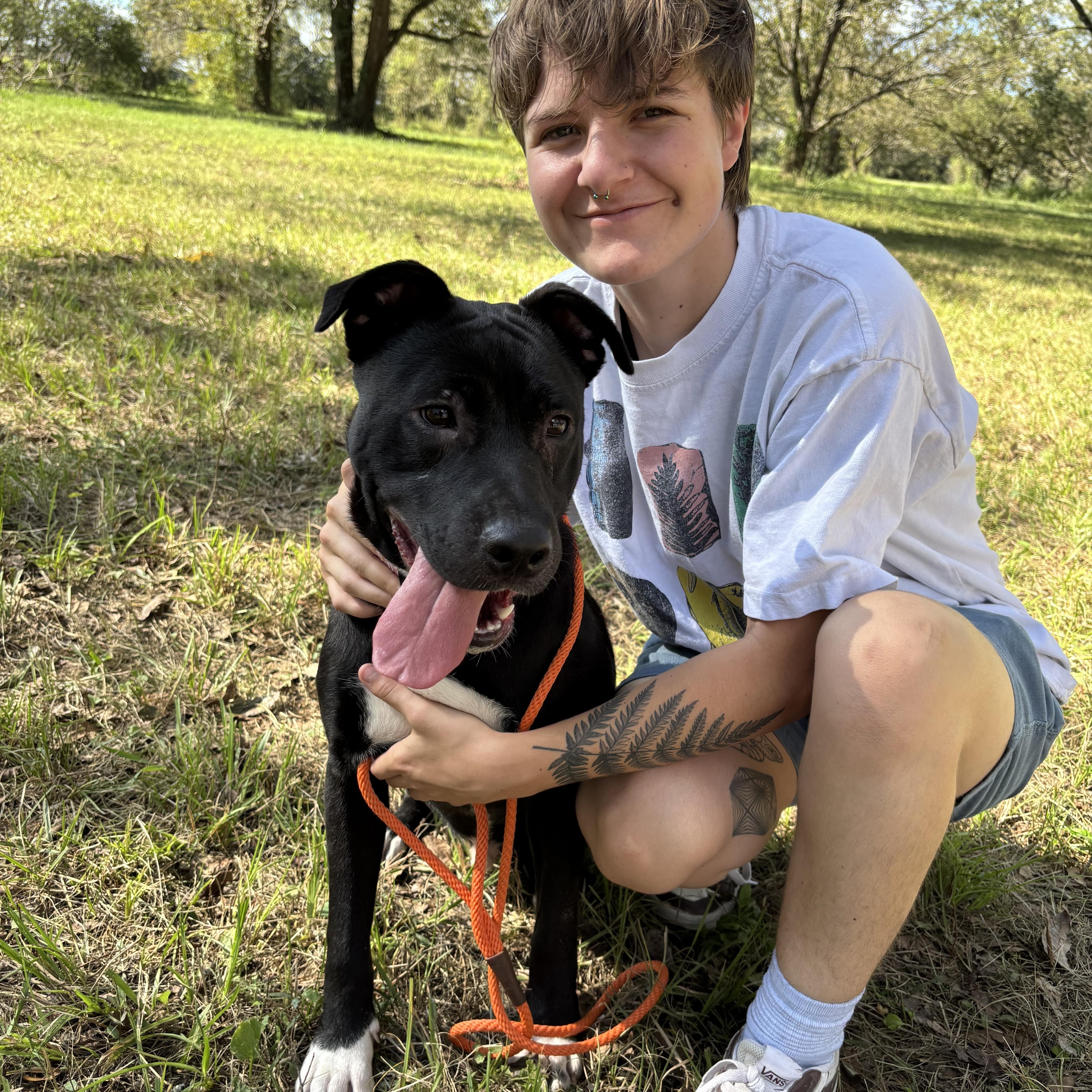 Arby, a ADOPTABLE mixed breed in York, PA image 4/5