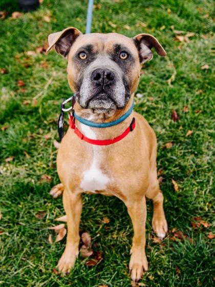 Rosie FKA Ivy — thumbnail 2