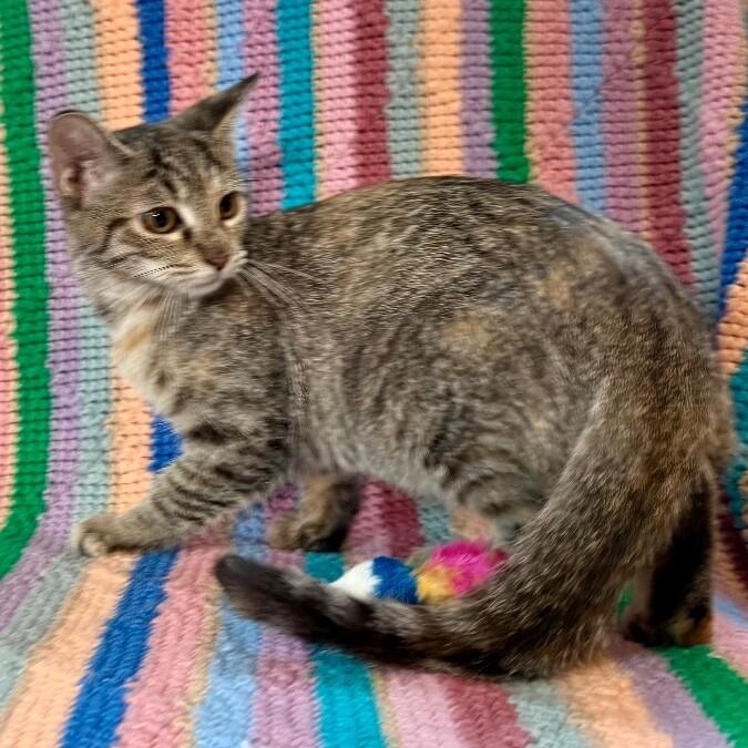 Luna Lopez — thumbnail 5