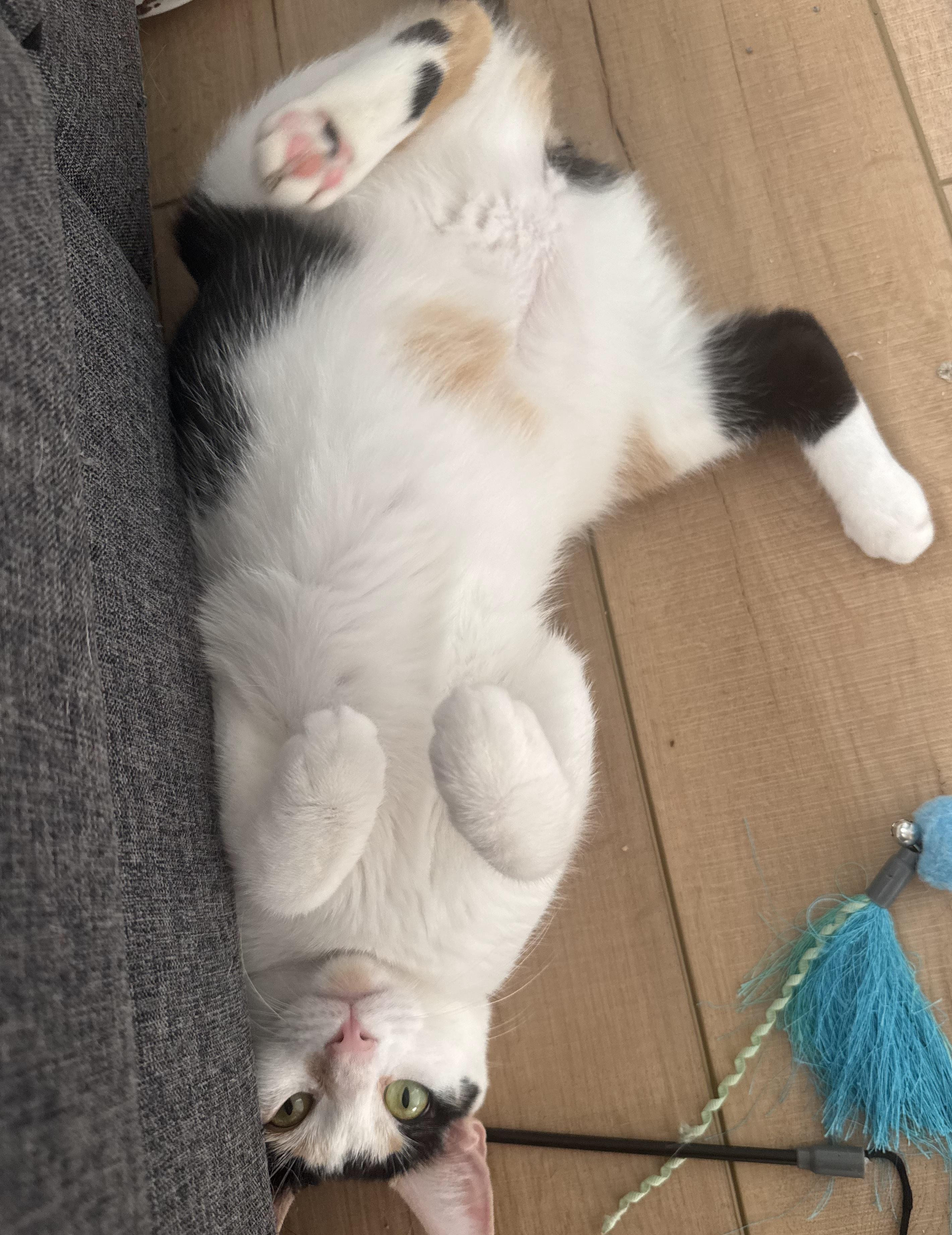 Coco And Momma Mary thumbnail 3