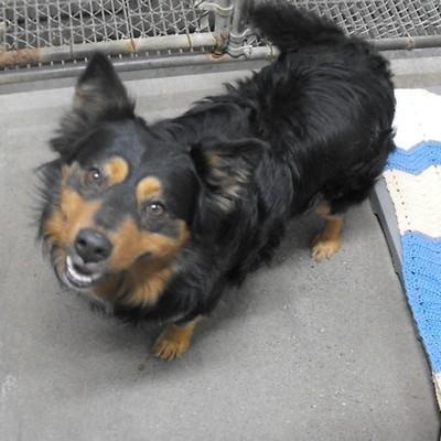 Charlie (3922B)