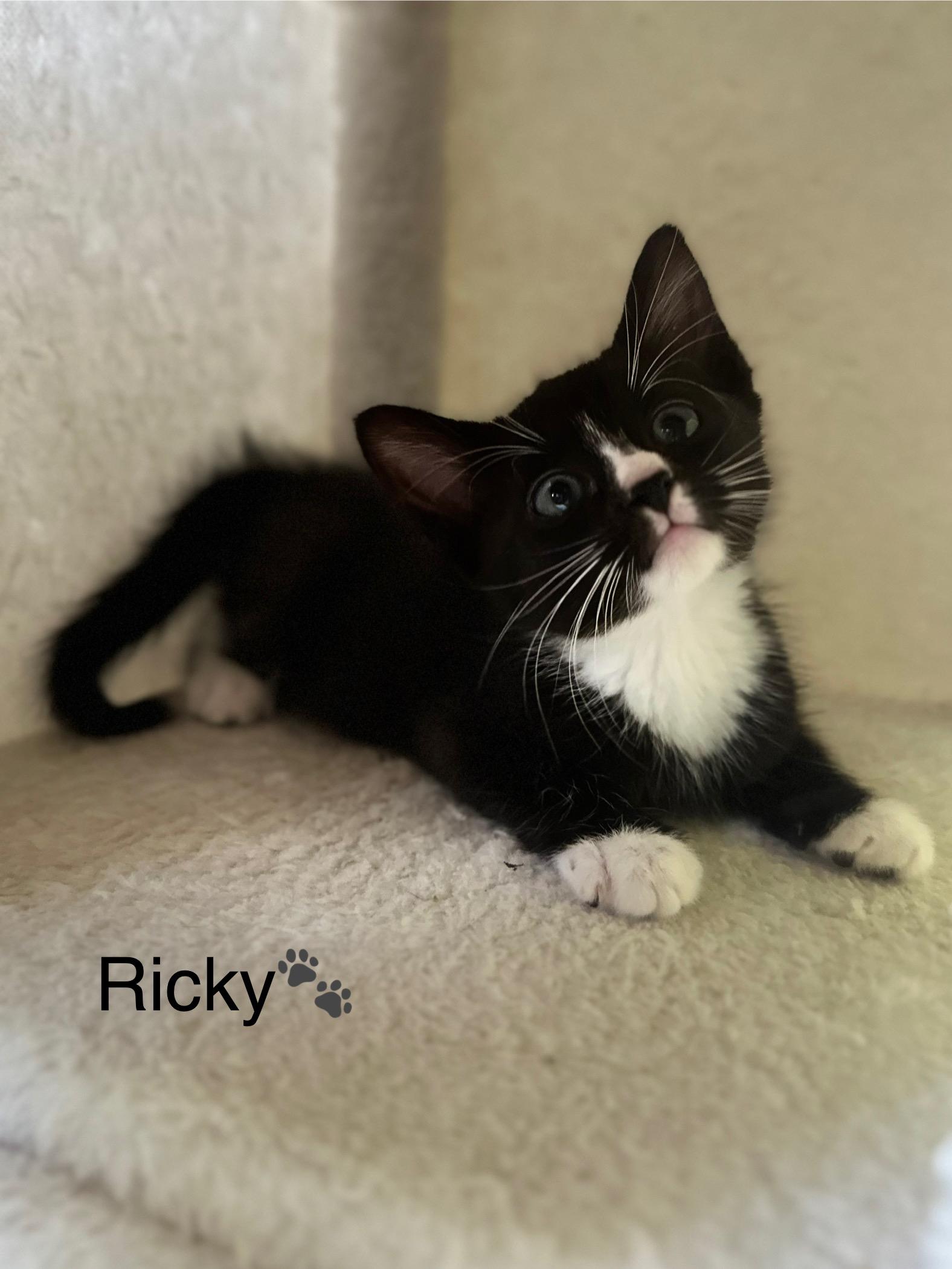 Ricky photo 2