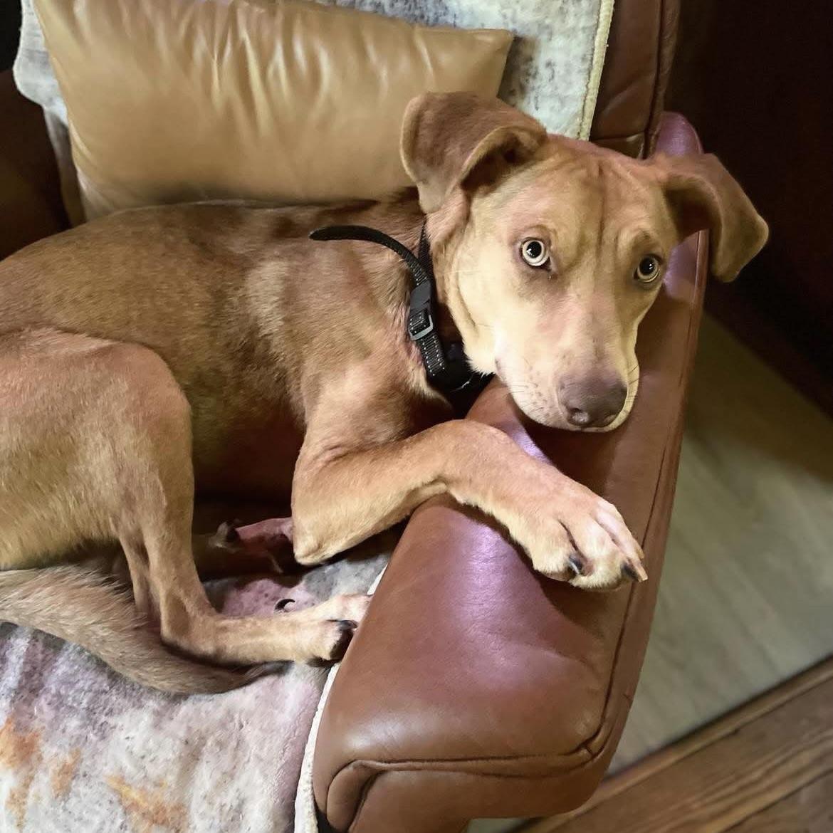 Esa (20250422-03) — thumbnail 3