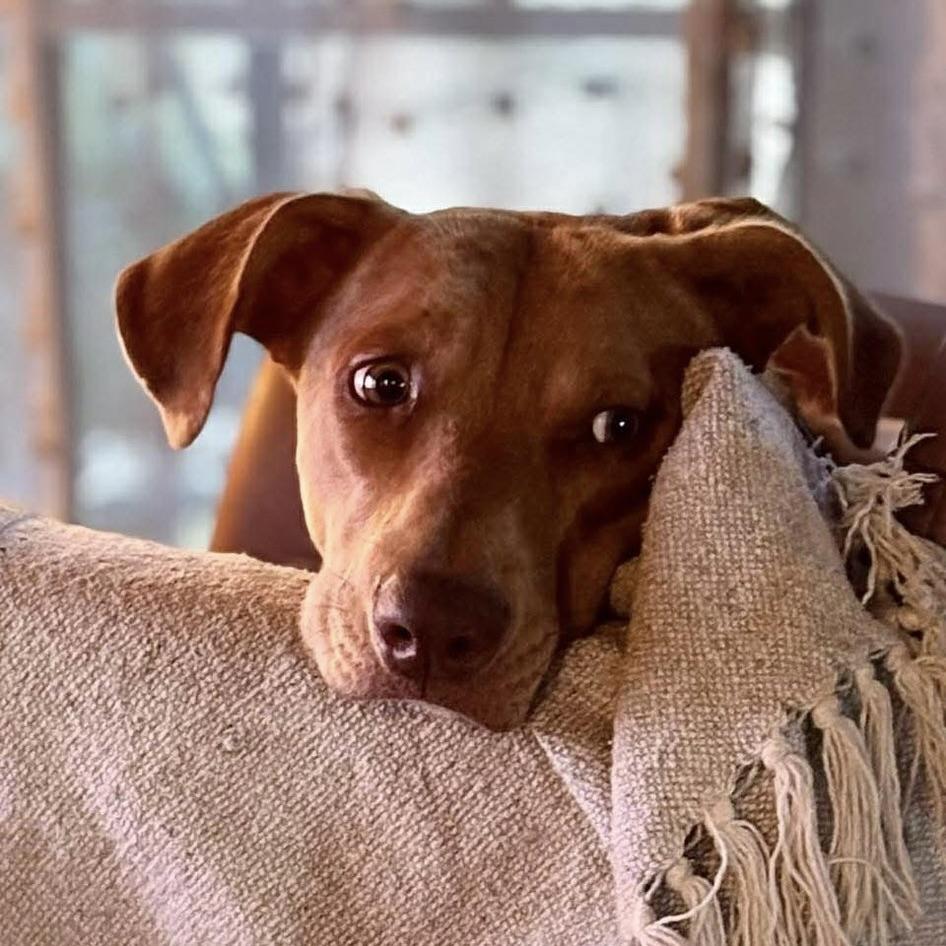 Esa (20250422-03) — thumbnail 4