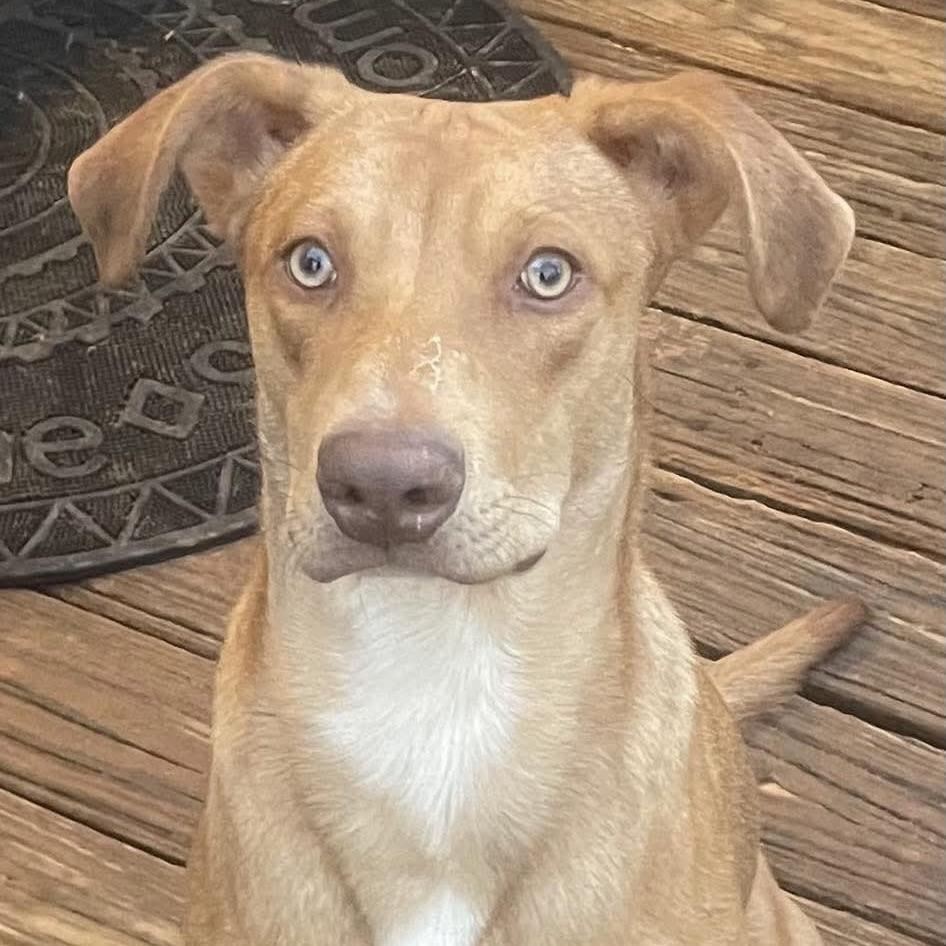 Esa (20250422-03) — thumbnail 5