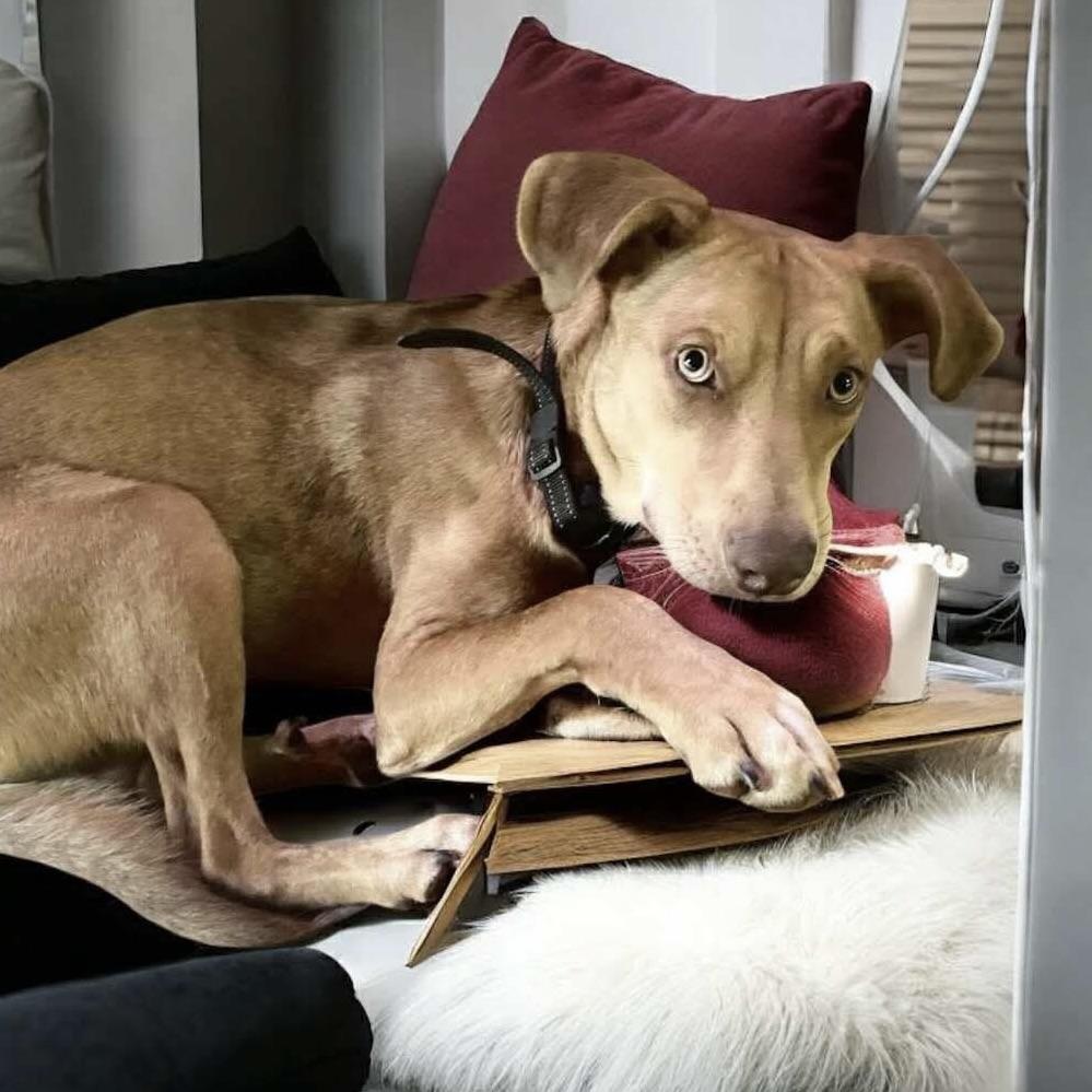 Esa (20250422-03) — thumbnail 6