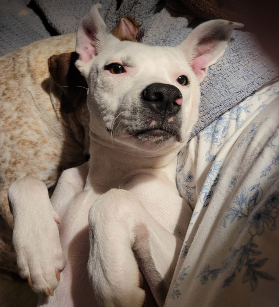 Gatsby, Baby Male unknown