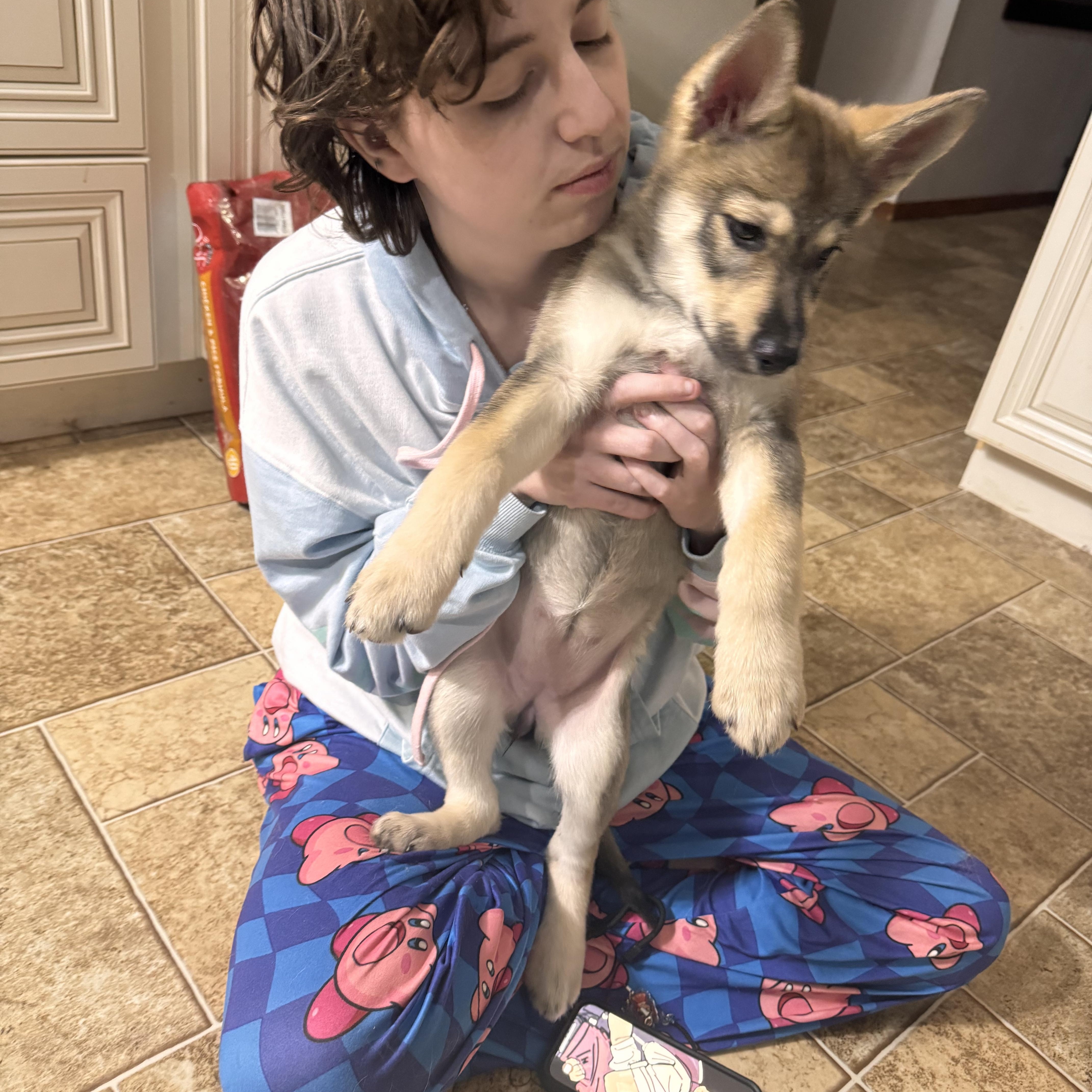 Enlarge Storm, a ADOPTABLE mixed breed in Greenwich, NY image 2/4