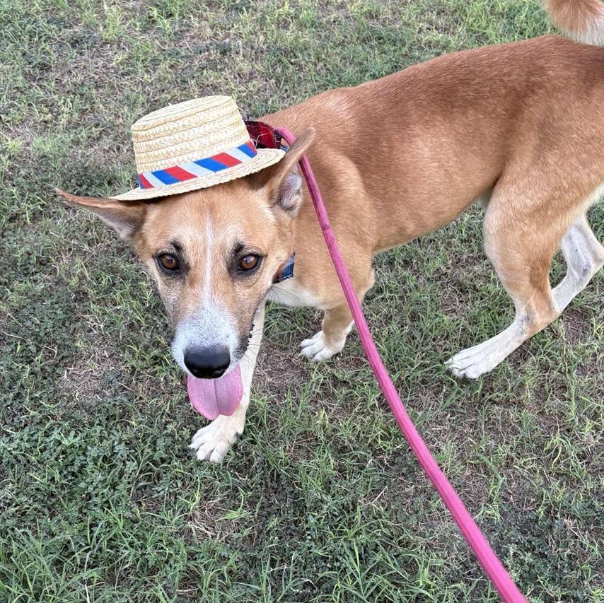 Flako — thumbnail 2