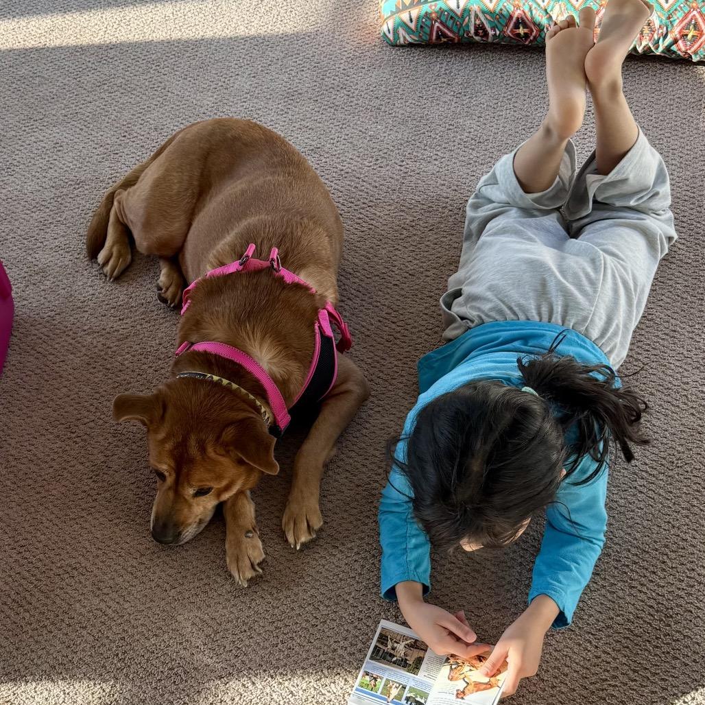 Sippy AB — thumbnail 2