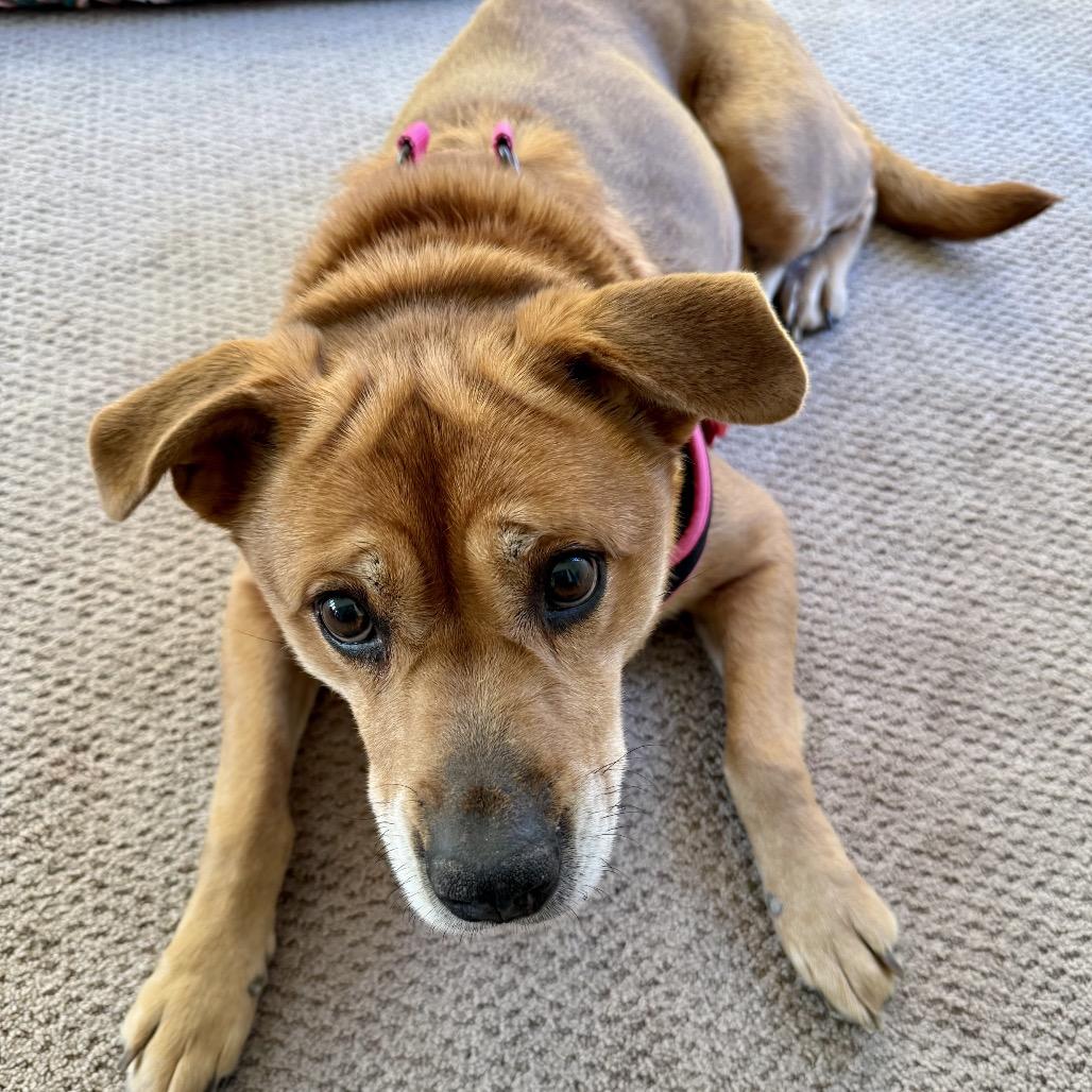 Sippy AB — thumbnail 3