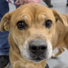 Sippy AB — thumbnail 4