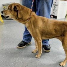 Sippy AB — thumbnail 5